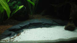 Terrasse mit Sandpool... :-)