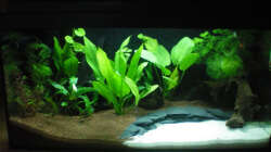 nach fast 2 Wochen...