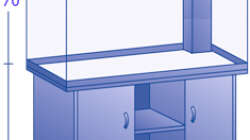 Aquarium Versuch Nr. 4