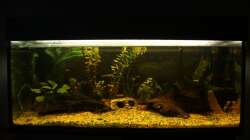 aktuell vom 27.01.12