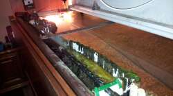 Das Wasser aus dem filter wird über die komplette Länge der Biokammer eingeperlt