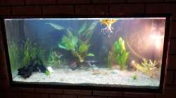 Aquarium Río Marañón