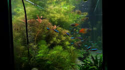 Und mal von der seite