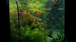 Seiten Ansicht 16.02.15