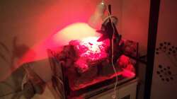 warm machen des ersten Anstriches