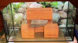 Anpassung des Felsens im Becken