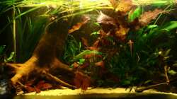 Einrichtung steht 06.01.2012