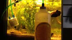 vorm Aqua CO2-Anlage mit Rückschlagventil und im Becken CO2-Reaktor