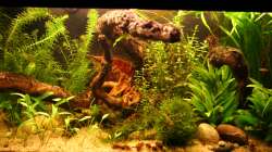 3.6.12 Gesamtansicht