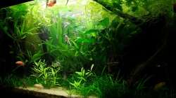 März 2013- Komplettansicht