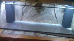 Dekoration im Aquarium Stones and Shells