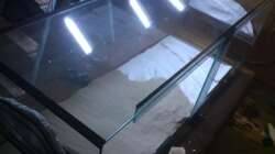 Dekoration im Aquarium Stones and Shells