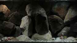 Aquarium Stones and Shells
