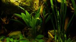 linkes Felsmodul 10.12.12