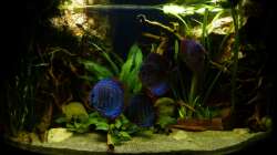 Frontansicht 17.12.12