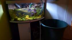 TWW, Fass dient zur Wasseraufbereitung und wird mit eine Pumpe ins Aquarium geleitet