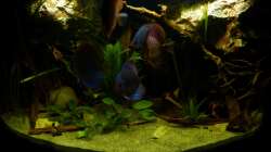 Frontansicht 24.10.12