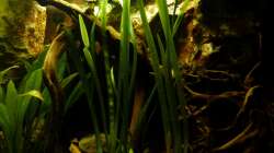 rechtes Felsmodul 10.12.12