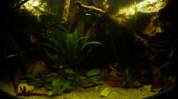 Gesamtansicht bei voller LED-Beleuchtung 22.10.12