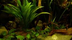 Detailansicht 10.12.12