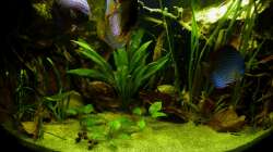 Frontansicht 16.02.13