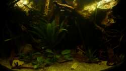 Frontansicht 22.10.12