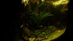 Beckenansicht von links 22.10.12