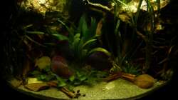 Gesamtansicht 10.12.12