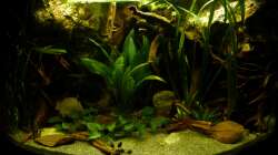 Gesamtansicht 10.12.12