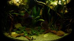 Gesamtansicht 10.12.12