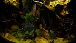 Frontansicht 05.11.12