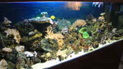 Aquarium Becken 22344