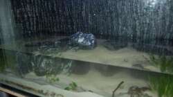 Rückwand wurde an Seite und Rückwand geklebt