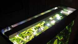 LED Cree Highpower cool white + warmweiss