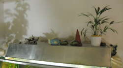 Technik im Aquarium 540er flösselhecht revier