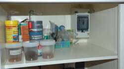 Futter und FI Schalter