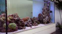Aquarium Becken 22455