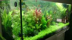 Aquarium Juwel Rio 180