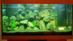 Aquarium Malawi 330Liter