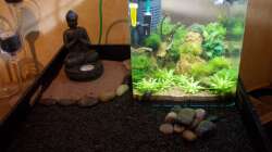 Das Werk meiner besseren Hälfte