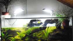 Aquarium Halbvoll oder halbleer?