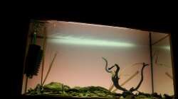 Aquarium Matano Lake