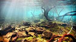 Das Original, mit freundlicher Genehmigung von Chris Lukhaup