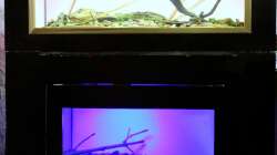 alle beide Sulawesi-Becken, oben Matano Lake