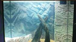 Aquarium Juwel Lido 120 weiß