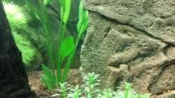 Aquarium Juwel Lido 120 weiß