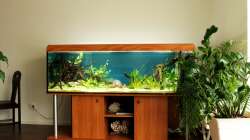 im Esszimmer; noch vor der Umgestaltung