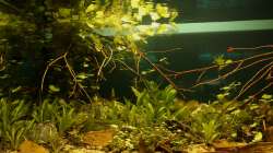 Ansicht am 17.07.2012