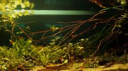 Ansicht am 17.07.2012