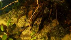 ein kleiner Blick von oben